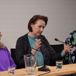  Diagonale-Werkstattgespräch: PRINZpod - die Kunstkomplizen. Nathalie Pollauf im Gespräch mit Brigitte Prinzgau, Thomas Podgorschek und der Regisseurin Ebba Sinzinger