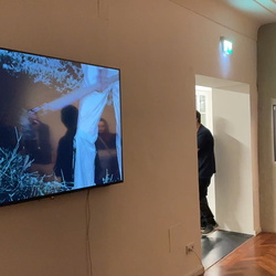 Führung mit Kurator Johannes Rauchenberger durch die Ausstellung 'Auslöschung' von Zlatko Kopljar