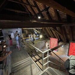 Themenf?hrung #19 'Fundamentalismus' in der Ausstellung: 'Gott hat kein Museum' mit Kurator Johannes Rauchenberger, 27. Juni 2026, special guests: Werner Reiterer und Hannes Priesch