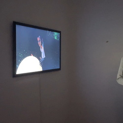 Führung mit Kurator Johannes Rauchenberger durch die Ausstellung 'Auslöschung' von Zlatko Kopljar