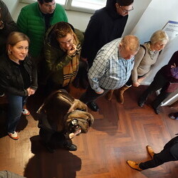  8. Themenführung in der Ausstellung 'GOTT HAT KEIN MUSEUM' zum Thema 'GLAUBEN und WISSEN'; Special guest: Jochen Höller, 10.1.2026