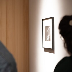 LEBEN NACH DEM TOD? Kuratorenführung mit Johannes Rauchenberger in Zlatko Kopljars Schau 'AUSLÖSCHUNG' am 2.11.2024Foto: Adnan Babahmetovic