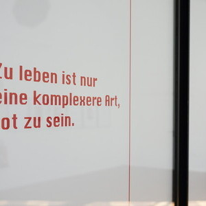                                 Anna & Bernhard Johannes Blume, *1937 in Bork/Westfalen (DE), † 2020 in Köln (DE) | *1938 in Dortmund (DE), † 2011 in Köln (DE),  Prinzip Grausamkeit, 2004,  70-tlg. Serie, Polaroids und Texte nach Clemens Rosset, gera