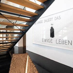 Petra Sterry, * 1967 in Graz (AT), lebt in Wien (AT), Das ewige Leben, 2010, Tusche auf Papier, 150 x 280 cm, gerahmtKULTUMUSEUM Graz, aus: MITLEID | Compassion (2012)