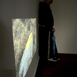 GEHEN & VERGEHEN. Wilhelm Scheruebl. Foto: KULTUM/Hopper