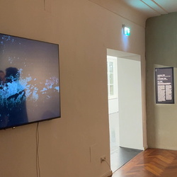 Führung mit Kurator Johannes Rauchenberger durch die Ausstellung 'Auslöschung' von Zlatko Kopljar