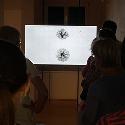 Lange Nacht der Kirchen 2023. Foto: KULTUM/A. Hopper