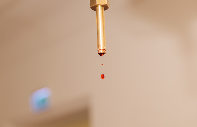 SONNTAGSBLATT, Gerd Neuhold Tropfinstallation von Till Velten