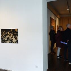   Kuratorenführung mit Johannes Rauchenberger, Ausstellung: 'Im Bann (s)einer großen Erzählung: Josef Fink (1941-1999), 15. März 2025