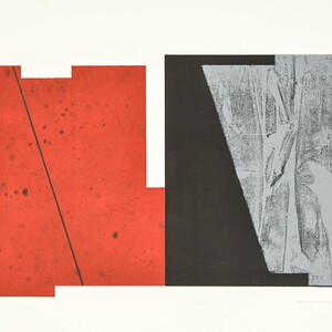 Peter Angerer: „Ambiguity“, oder Versuche gegen die Vereindeutigung der Welt, 2021, Unikatgrafiken, je 42cm x 59,4cm