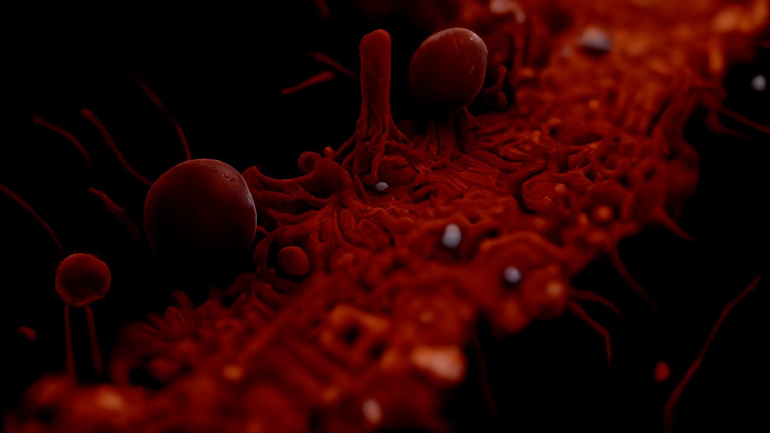 Claudia Larcher, Das große Baumstück, Experimentalfilm, 9 min 30 sek, 2023