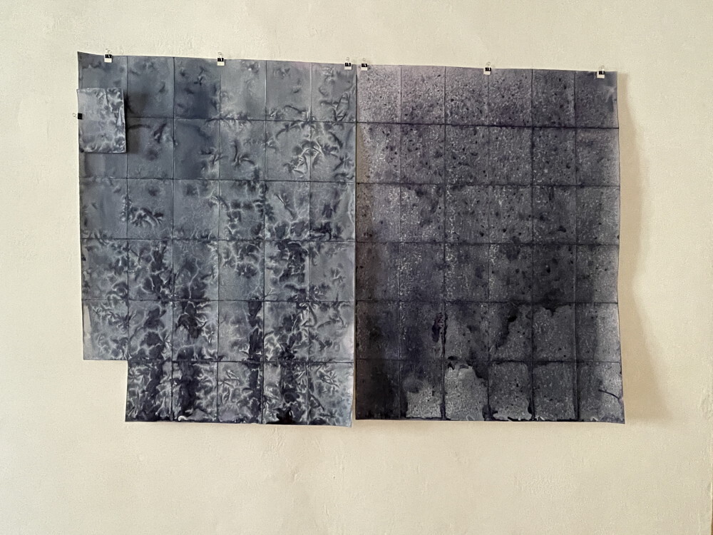 Wilhelm Scheruebl Wege, 2023  Schuhb?nder: Tauschobjekte von Besuchenden, Holzring 144 Minusaquarelle, je 15x20 cm Rauminstallation  Sonnenblumenschatten hell, I, 2022/23 Tusche auf Transparentpapier,  29x42 cm 