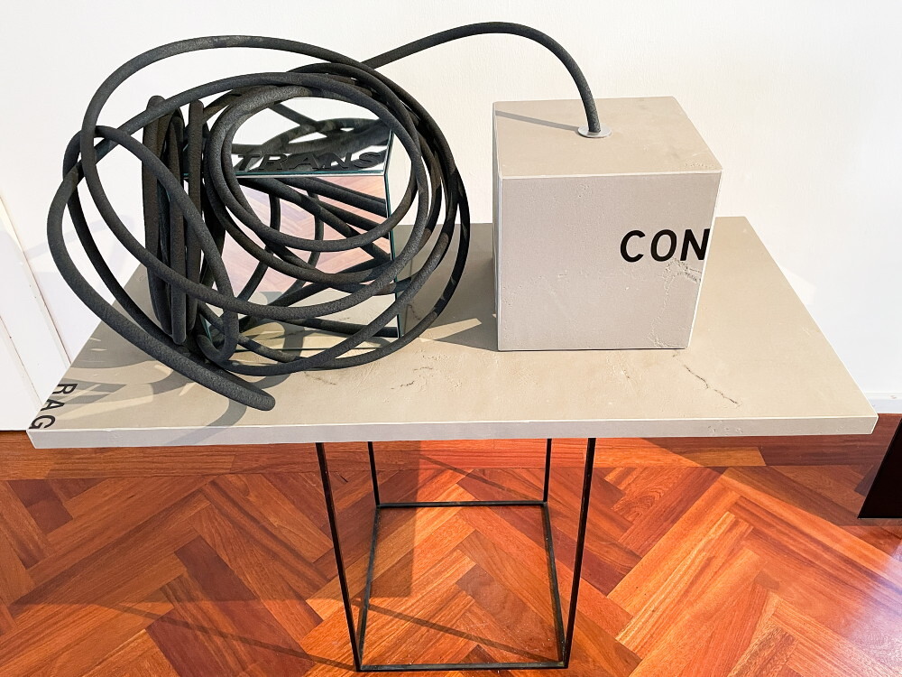 Peter Angerer: „Transparency – Control“, 2022, Tisch –Objektinstallation, Metallgitterkubus, präparierteTischplatte, 2 Kuben, Holz/Spiegel, Klebebuchstaben,Schlauch, ca. 40cm x 120cm x 130cm