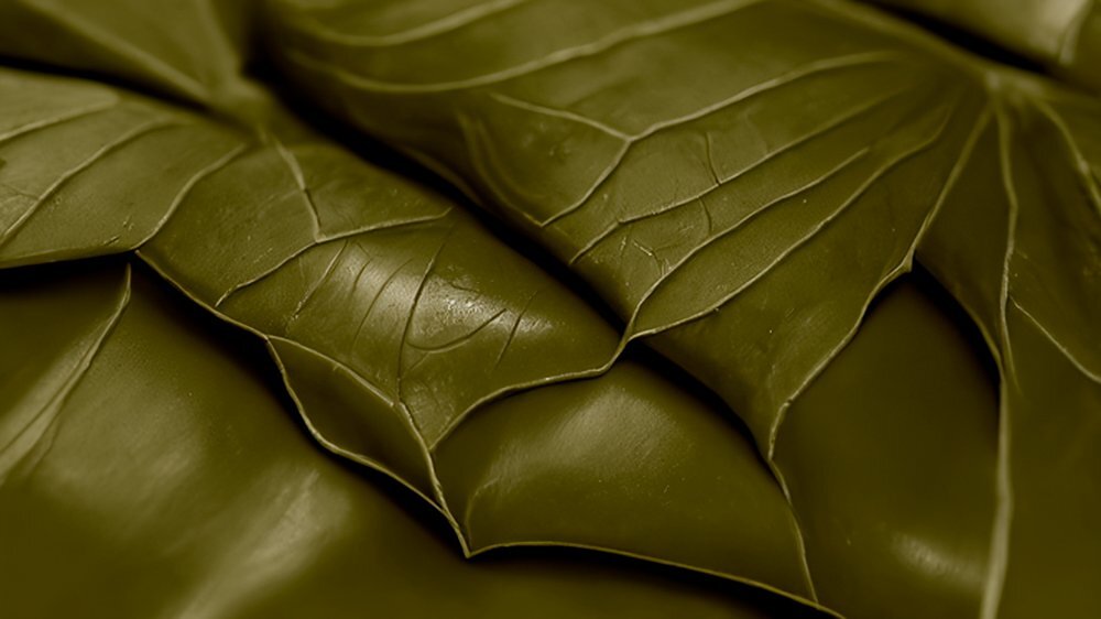 Claudia Larcher, Das große Baumstück, Experimentalfilm, 9 min 30 sek, 2023